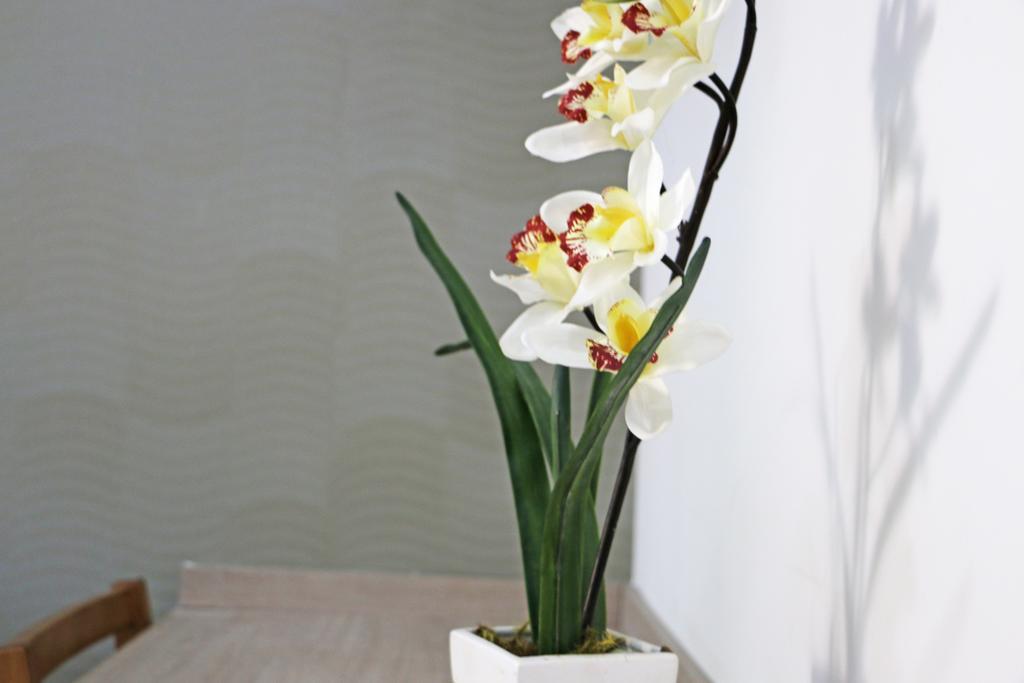 Pousada Shangrila Ribeirão Preto Kamer foto